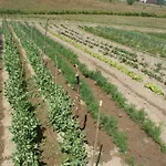 Agrodomki Okej -dom Koko Prázdninový dům