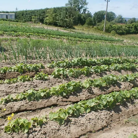Casa vacanze Agrodomki Okej -dom Koko *