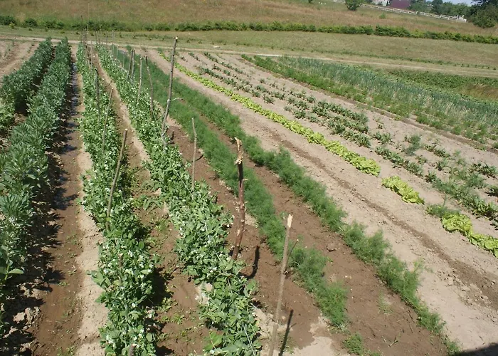 Agrodomki Okej -dom Koko Ferienhaus