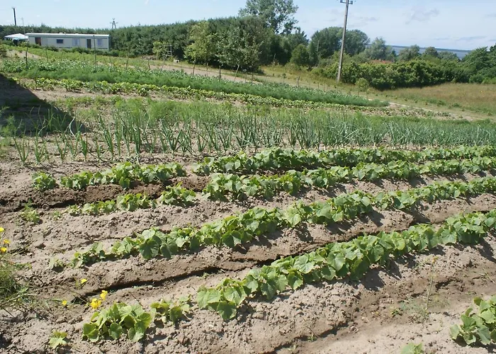 Ferienhaus Agrodomki Okej -dom Koko *